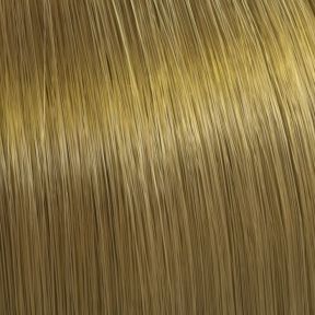Color Touch 8/0 Light Blonde 60ml